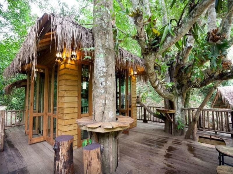 Elevated treehouse with a wooden deck at Dreamcaught Tree House