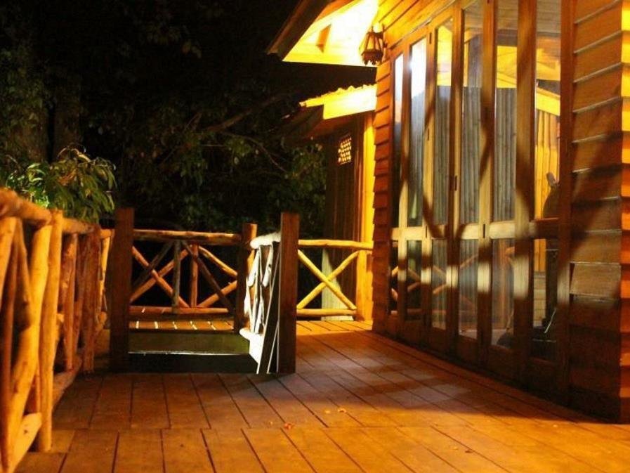 Dreamcaught Tree House balcony illuminated at night
