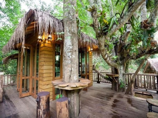 Elevated treehouse with a wooden deck at Dreamcaught Tree House